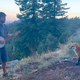 “Play some Neil Young!” the fox howls.
